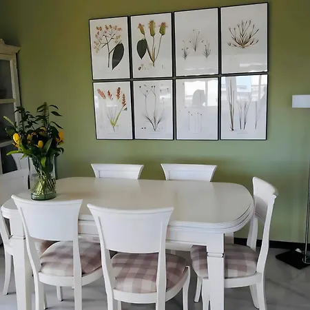 Apartmán Center - 350m