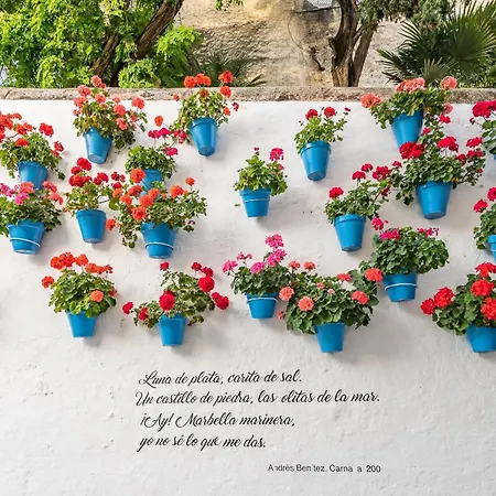 Center - 350m Апартаменти