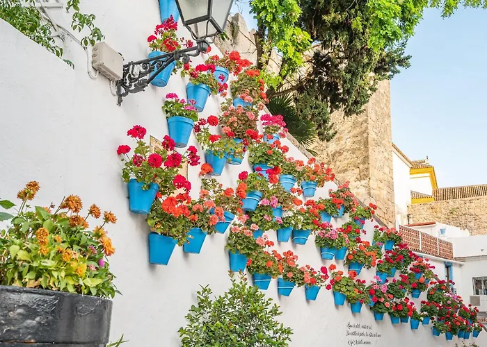 Center - 350m * Marbella